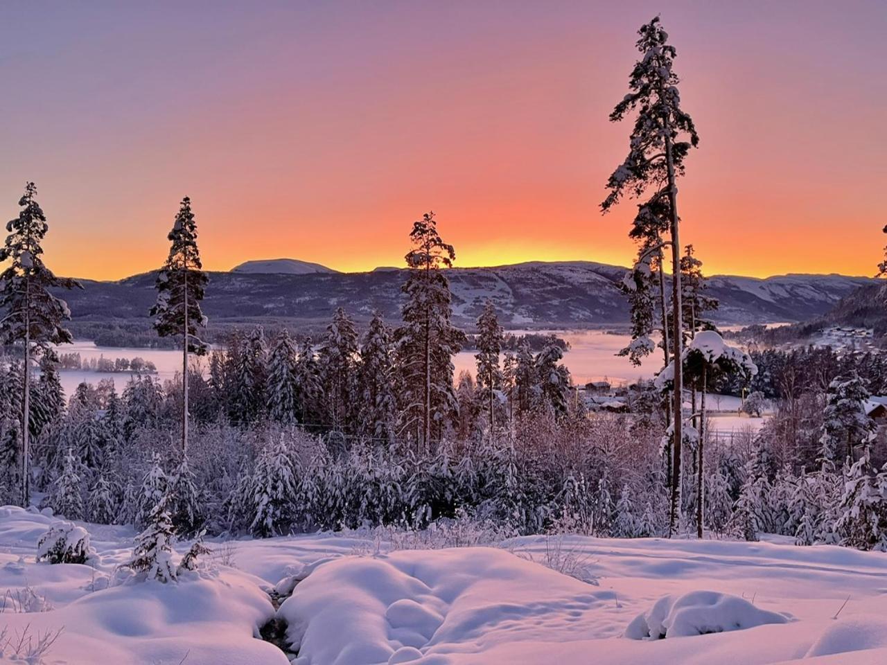 Furuheim Lodge, 4 Seizoenen Vakantiehuis Met Fantastisch Uitzicht Vradal Bagian luar foto